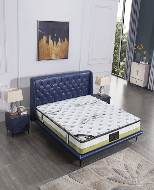 Hypo-Allergenic Memory Pillow Top Pocket Spring Foam Medium Firm Queen Mattress