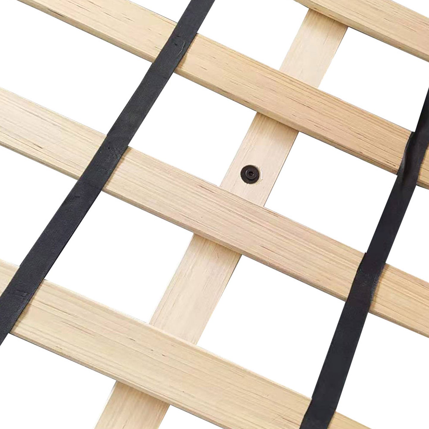 Elsa Sleigh Bedframe Velvet Tufted Deep Quilting Bed